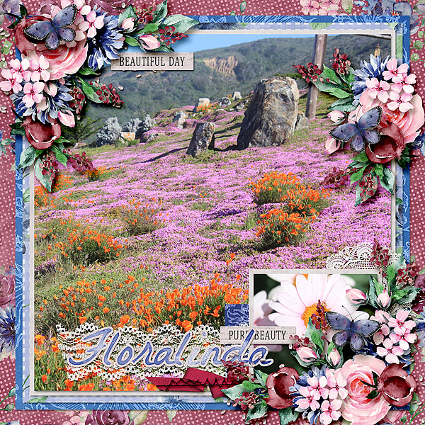 Spring Beauty