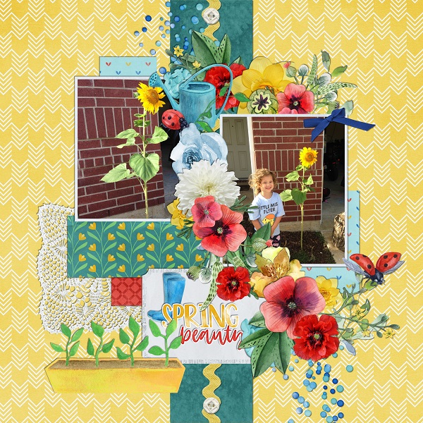 Spring Beauty