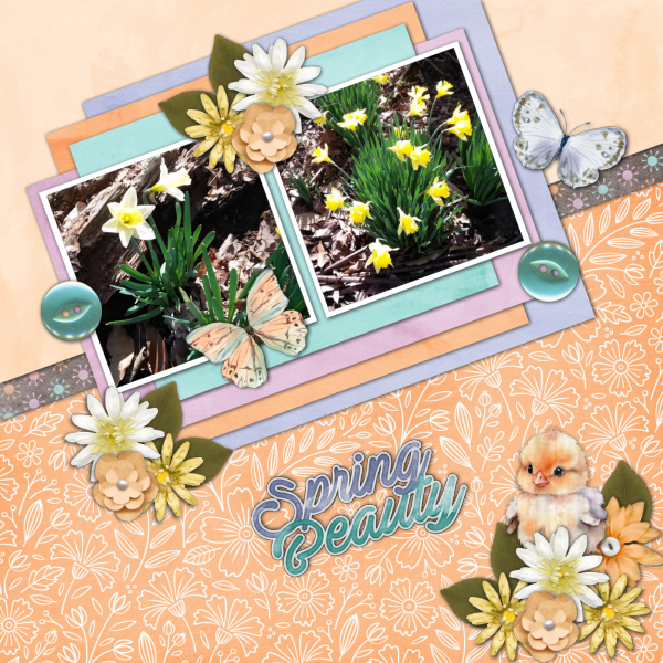 Spring Beauty