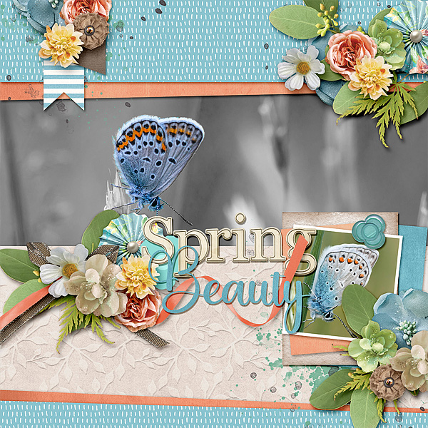Spring Beauty