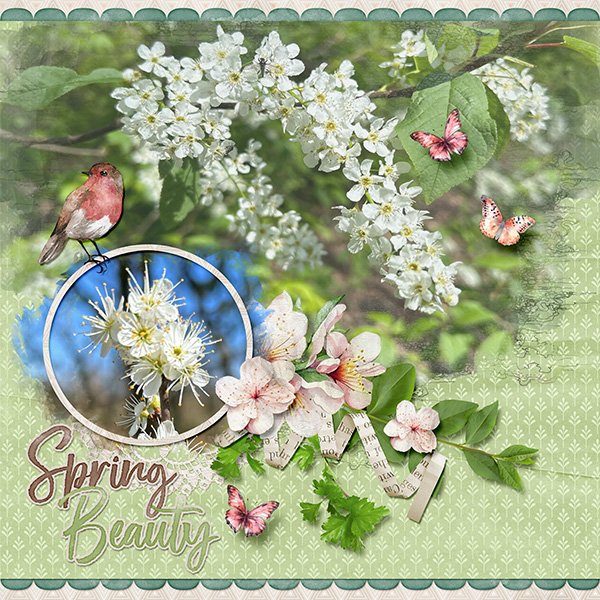 Spring beauty