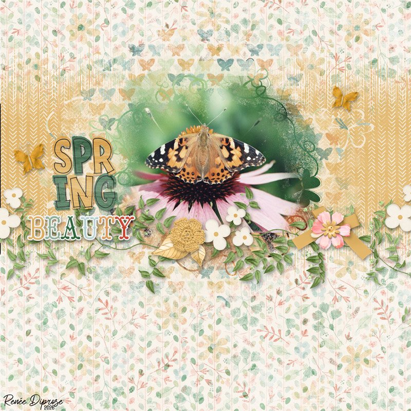 Spring Beauty