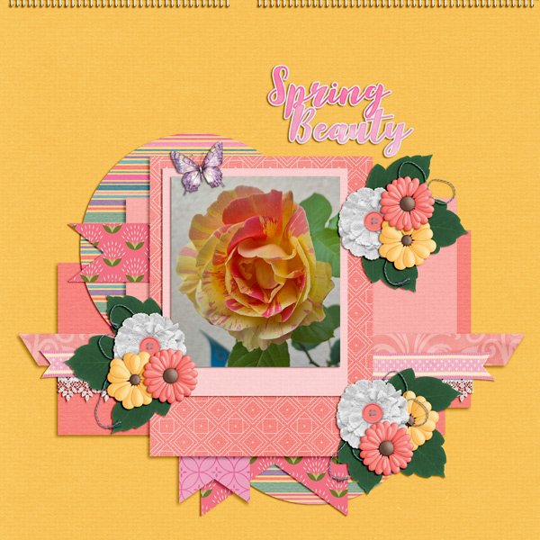 spring beauty