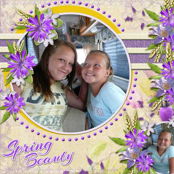 Spring-BeautyWEB