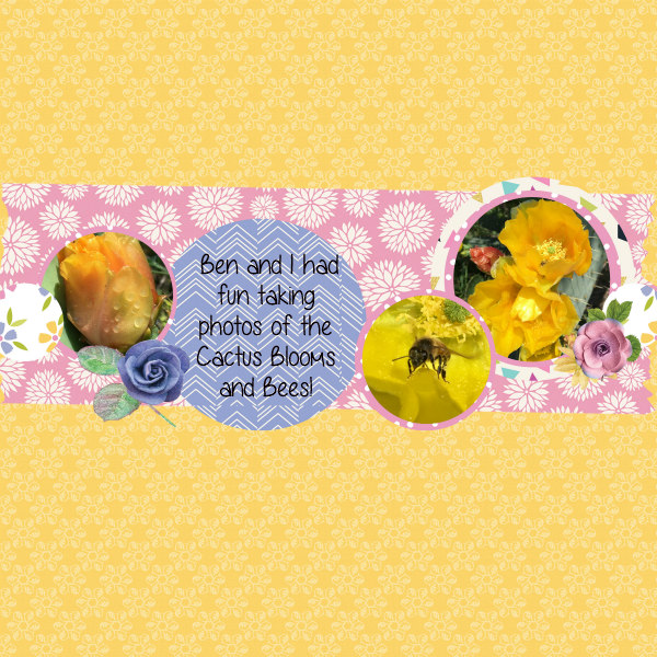 Spring Bee