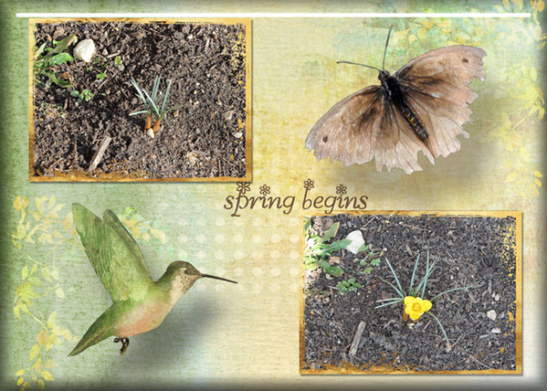spring begins