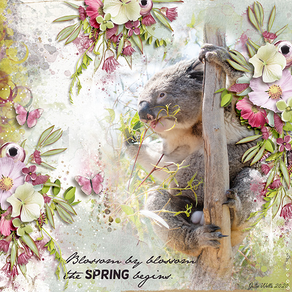 spring begins
