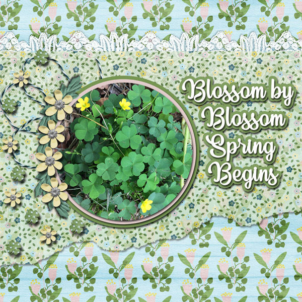 Spring Begins