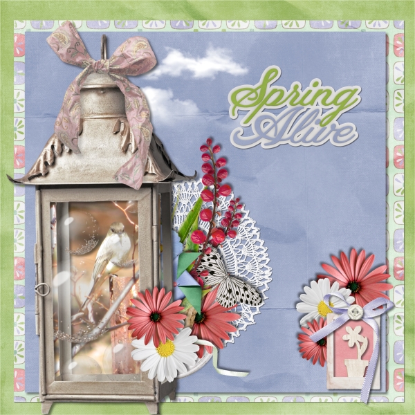 Spring bird