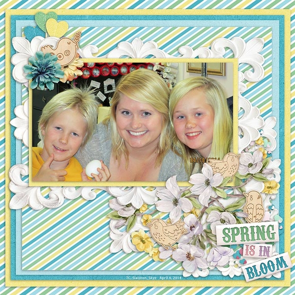 Spring Birds Kit