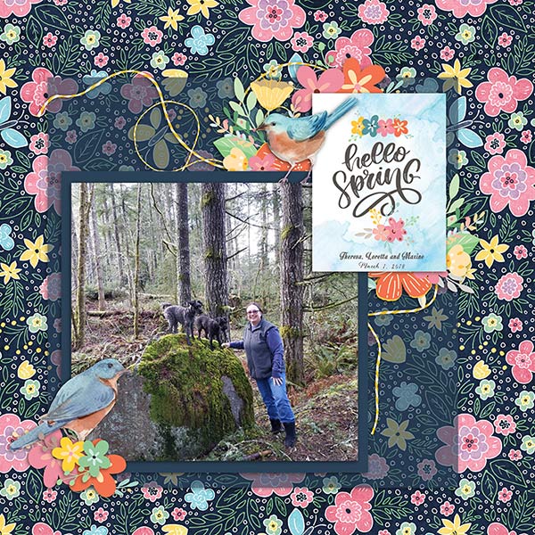 Spring Birds Kit