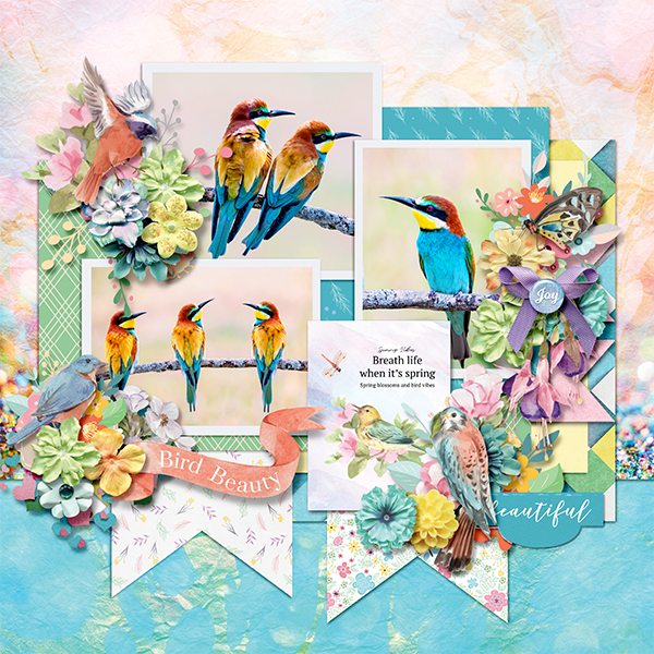 Spring birds