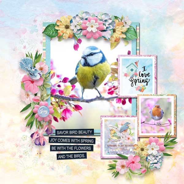 Spring birds