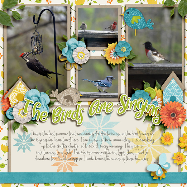 Spring Birds