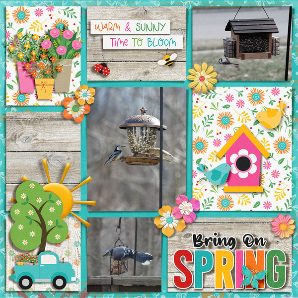 Spring Birds