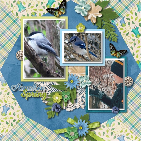 Spring Birds