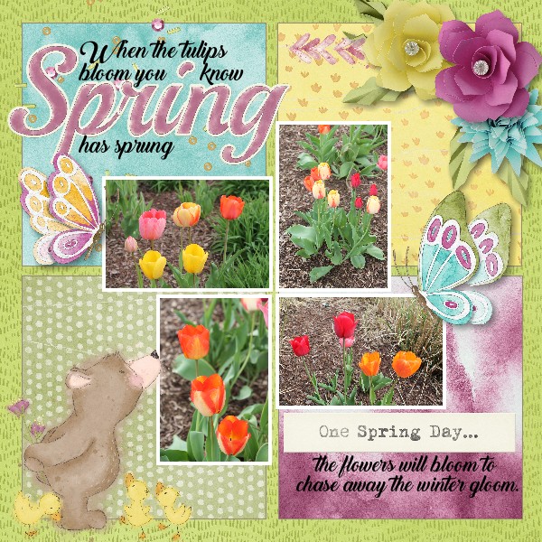 Spring Bloom