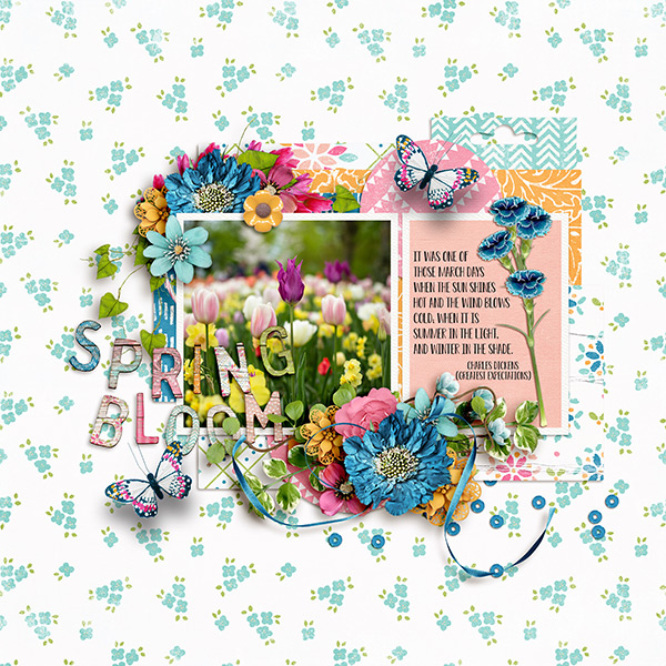 Spring Bloom