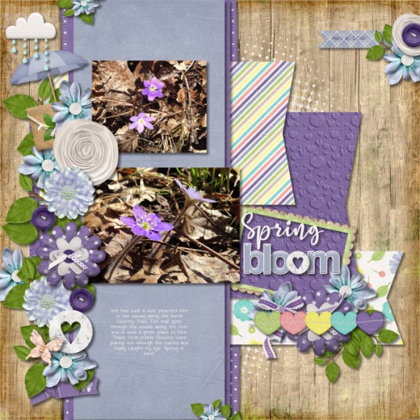 Spring Bloom