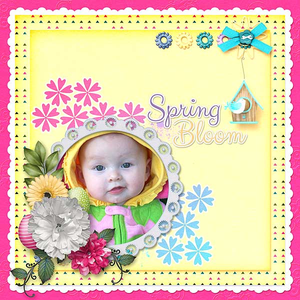 Spring Bloom