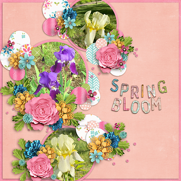 Spring Bloom