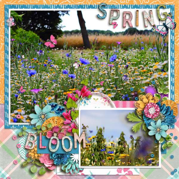 Spring bloom