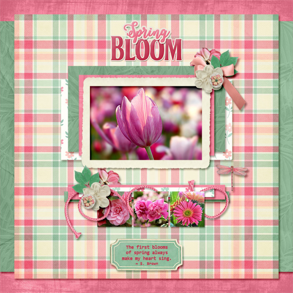 Spring Bloom