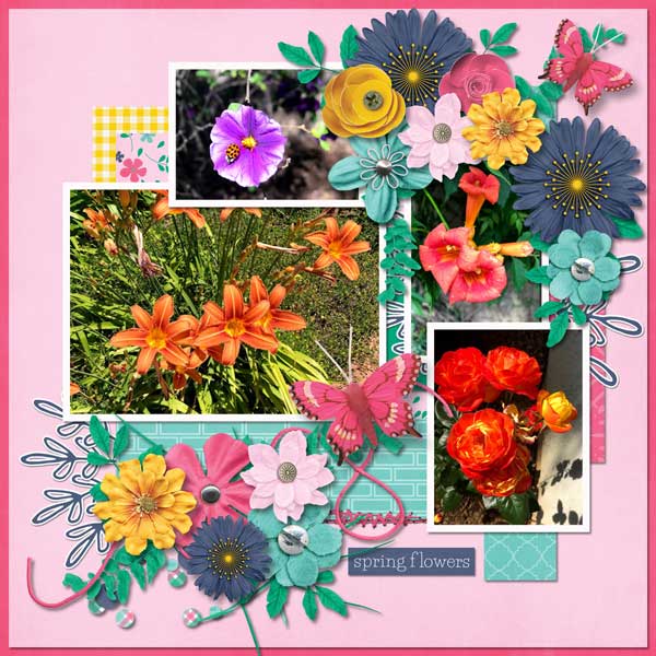 spring blooms 19