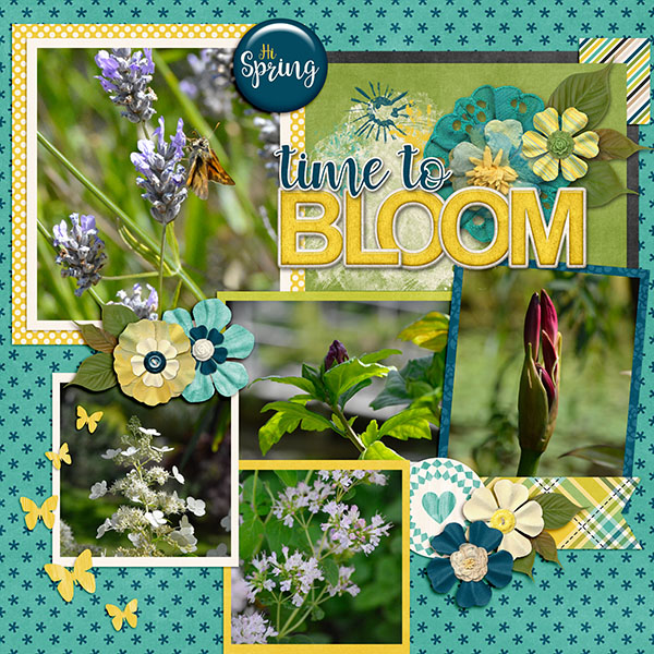 Spring Blooms 2016
