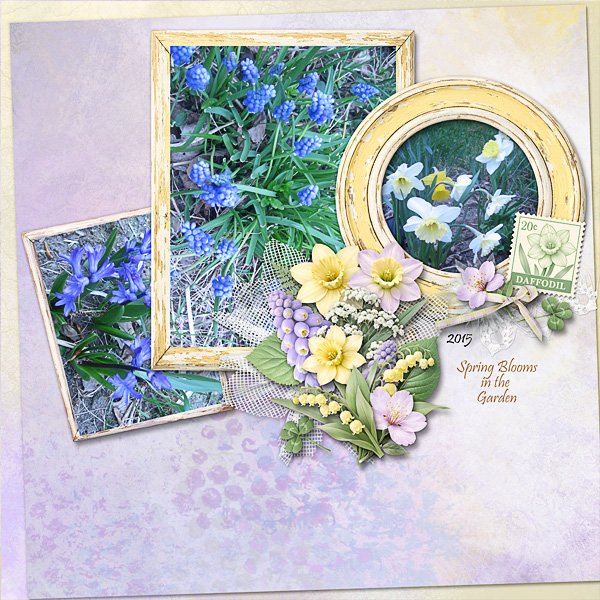 Spring Blooms in the Garden