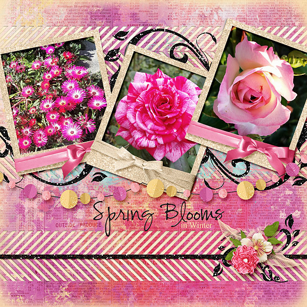 Spring Blooms in Winter