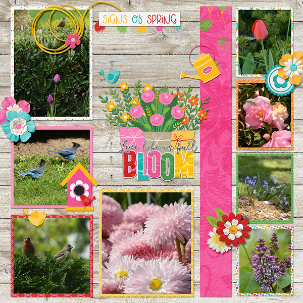 Spring Blooms Right