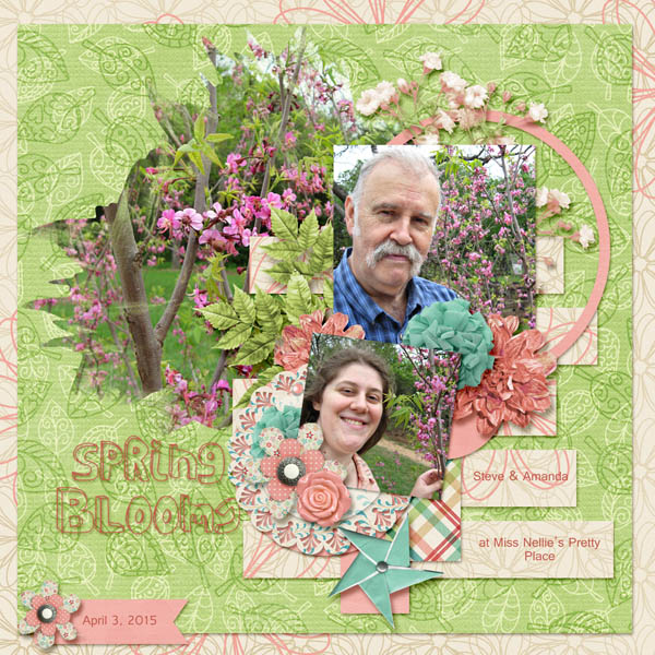 Spring Blooms