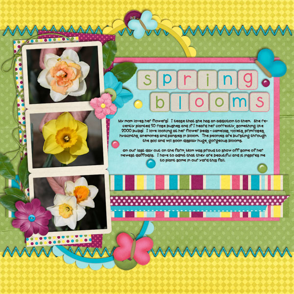 Spring Blooms