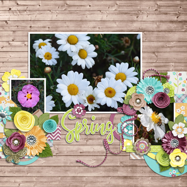 spring blooms