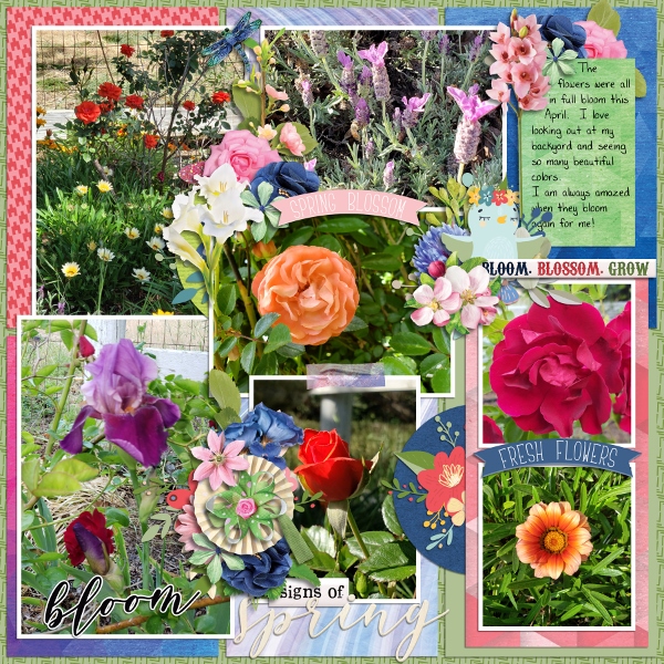 Spring Blooms