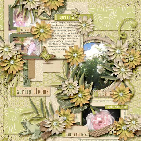 Spring Blooms