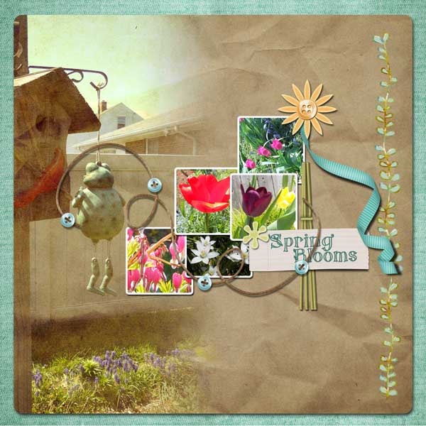 Spring Blooms