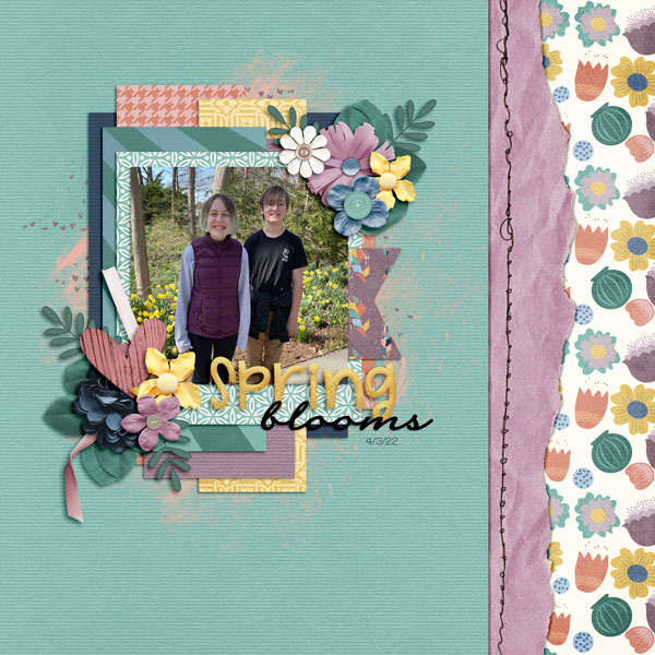 Spring Blooms