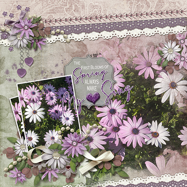 Spring Blooms
