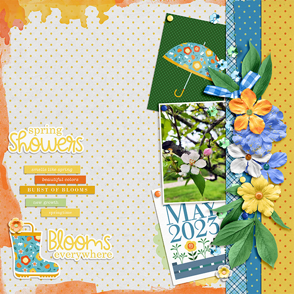 Spring Blooms