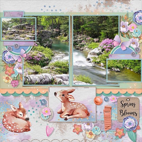 Spring Blooms