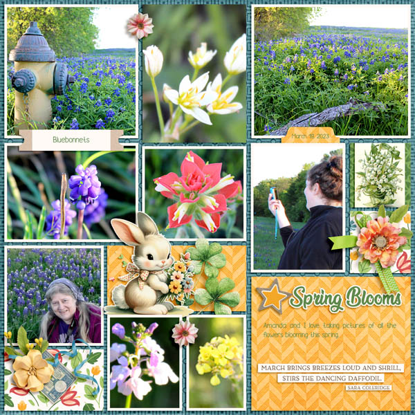 Spring Blooms