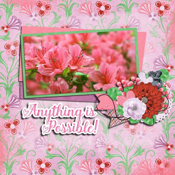 Spring Blooms