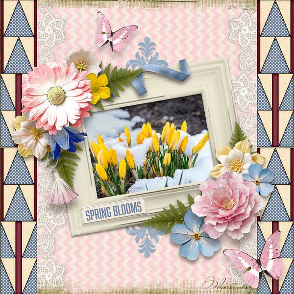 Spring Blooms