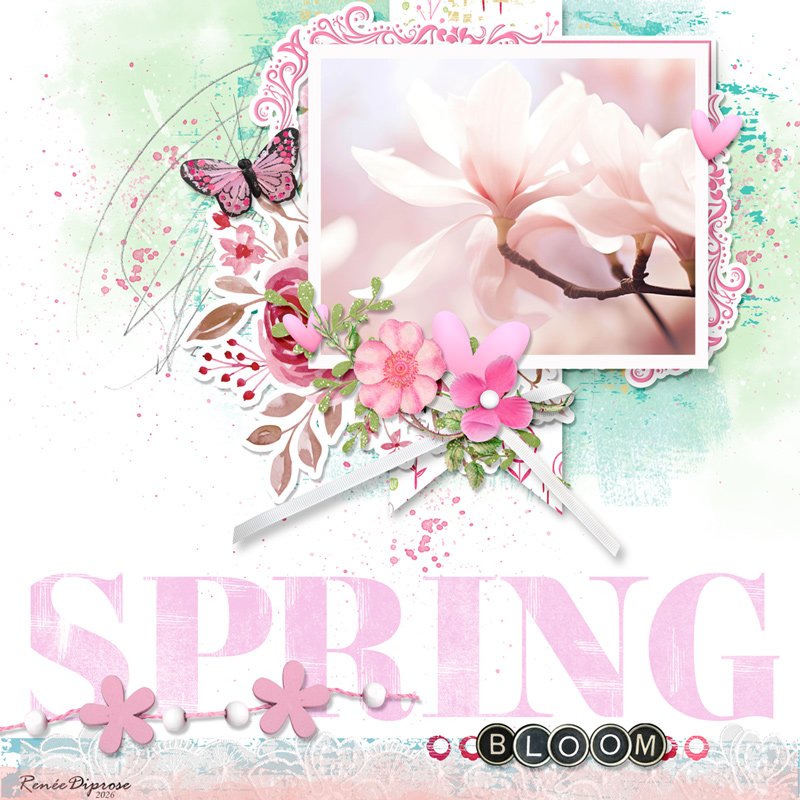 Spring Blooms
