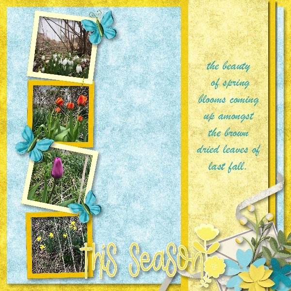 spring blooms