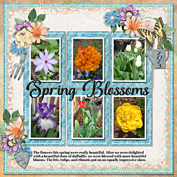 Spring blossoms 2023