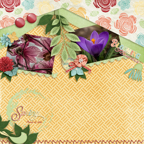 Spring Blossoms
