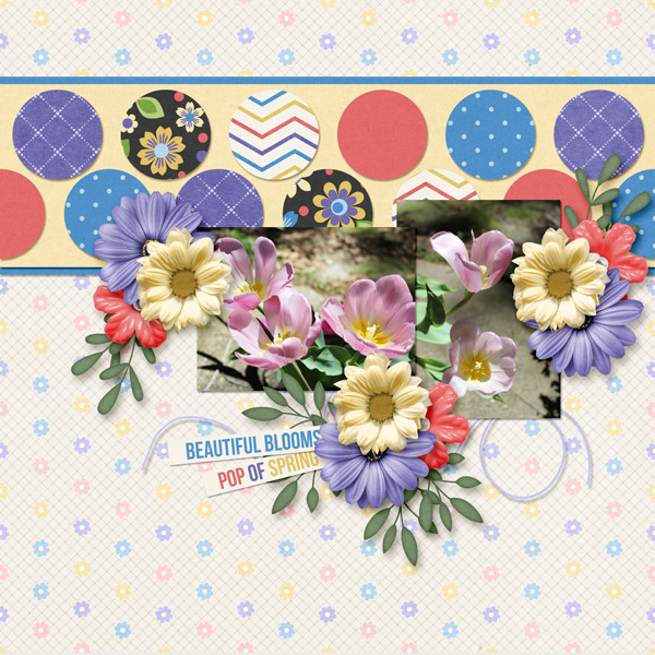 Spring Blossoms